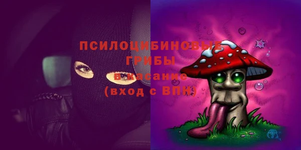 a pvp Беломорск
