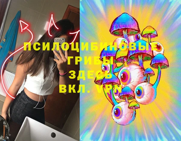 дмт Балахна